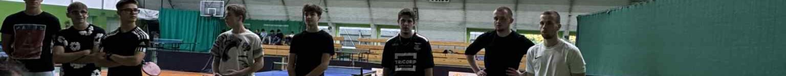 Rozgrywki w tenisie stołowym