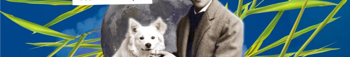 Szkoła Pamięta – wspominamy naszego Patrona