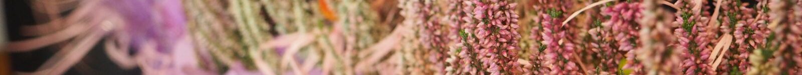 Dzień Edukacji Narodowej