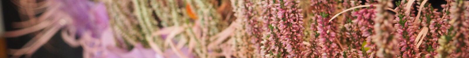 Dzień Edukacji Narodowej