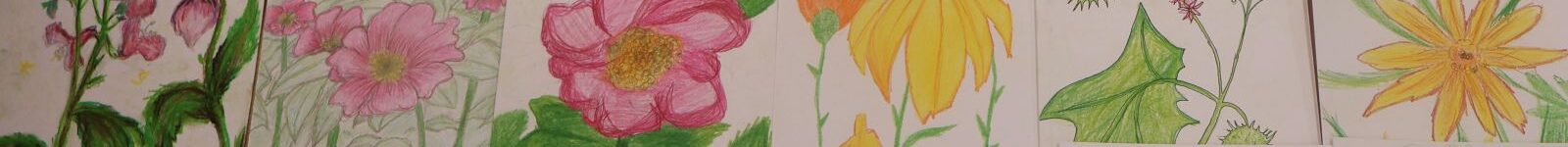 Nasze prace – „Zrównoważony ogród”