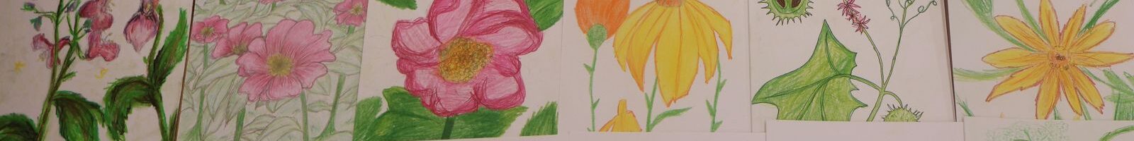 Nasze prace – „Zrównoważony ogród”