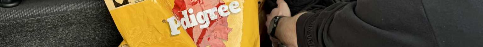 Pomoc dla Ośrodka „Okiem Wilka”